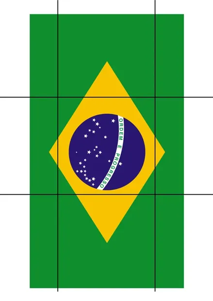 Bandeira do Brasil pintada